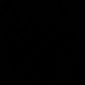 Meet your Posher, Gursahib